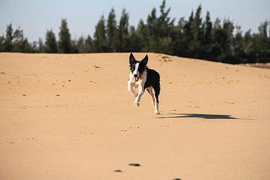 GOG喜加一！免费领取科幻卡牌RPG《深空遗物》
